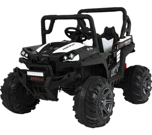 RZR RIOT 300